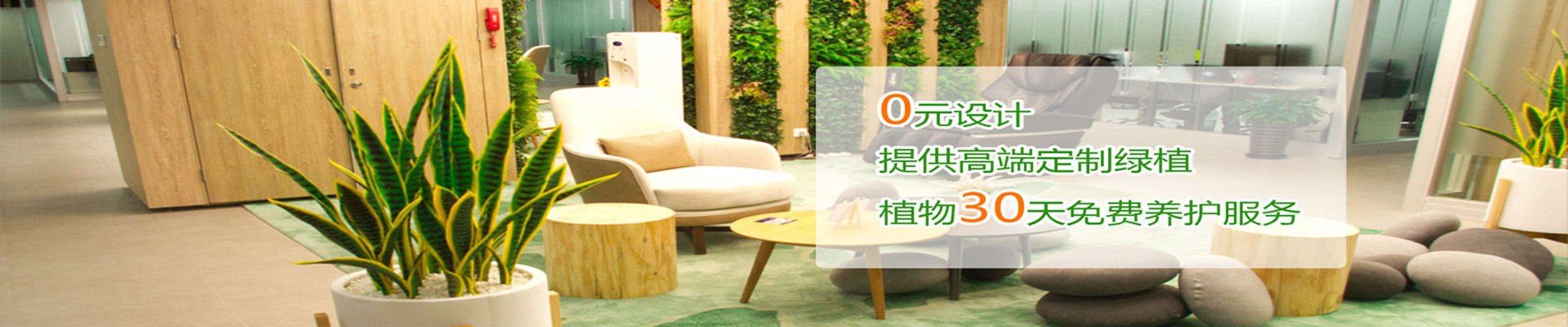 綠植租賃咨詢