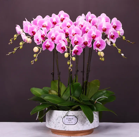 1705379009105194.png image.png