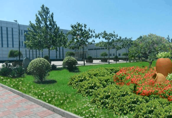 1707279536481553.png image.png