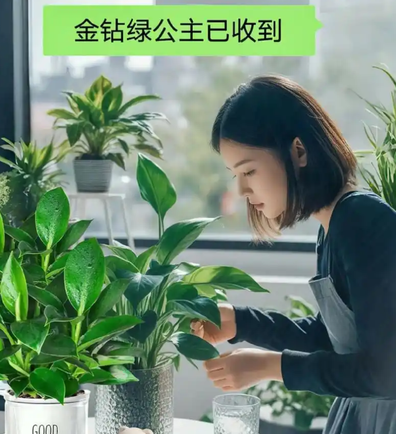 1741956055187250.png image.png